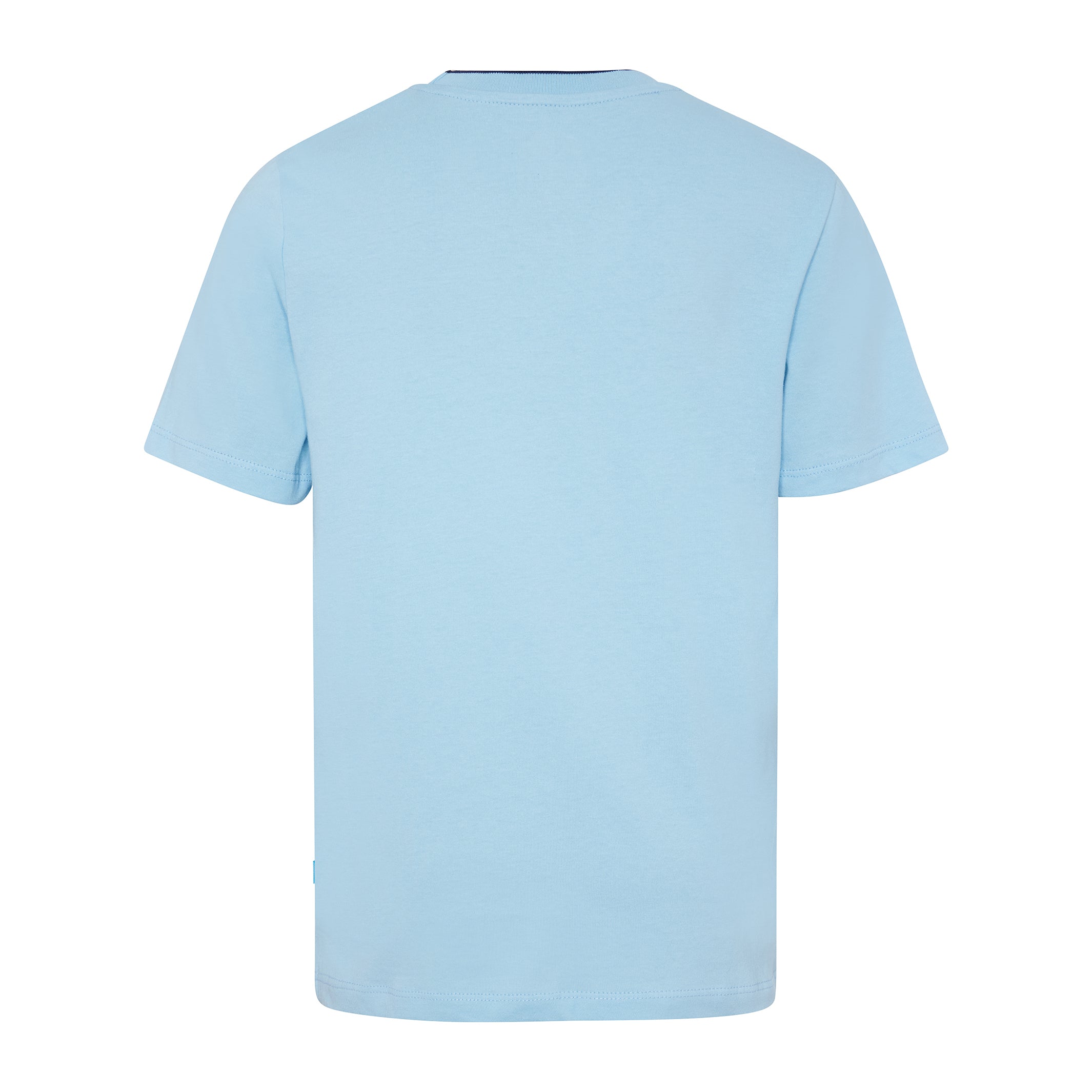 Kid's Unisex Blue T-Shirt AO Textured Logo Back View