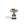 A miniature replica of men's AO trophy with a silver cup and a black base, placed on a white background.
