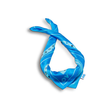 AO Silk Scarf