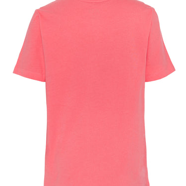 T-Shirt - Boy's Pink Tweety & Sylvester - Kids